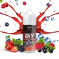 DIY RAGNA 30ML - DIY 2 GET HIGH